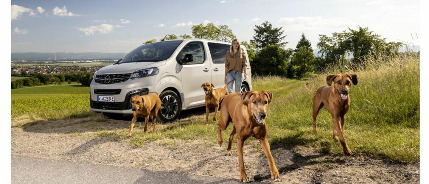 O melhor amigo de um cão: O Opel Zafira-e Life